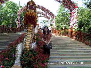 SAMSUNG CAMERA PICTURES