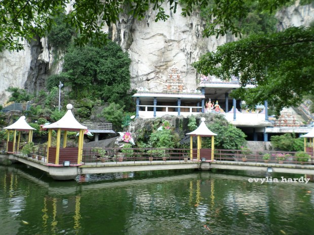 SAMSUNG CAMERA PICTURES